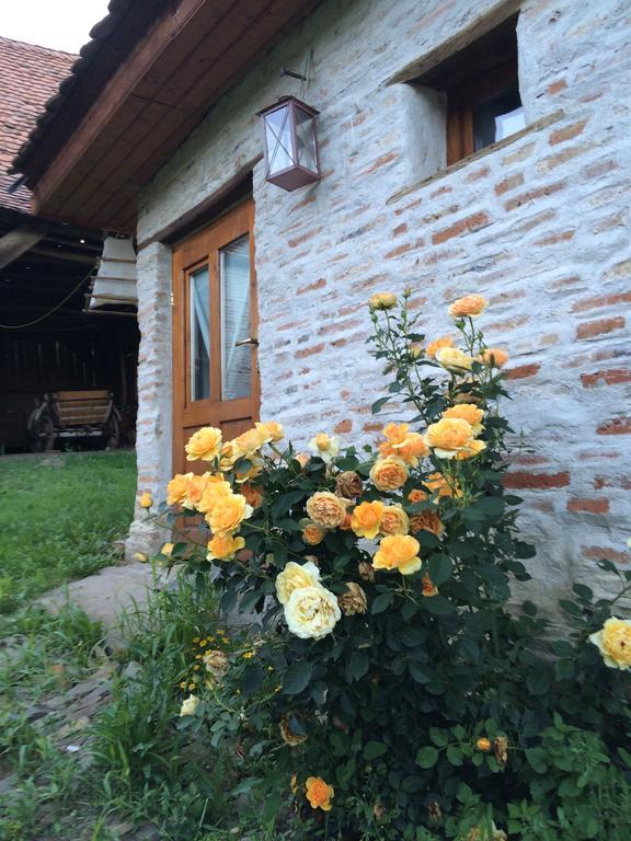 Dominic Boutique - Gardener'S Cottage Cloasterf 외부 사진
